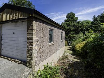 Picture 21
